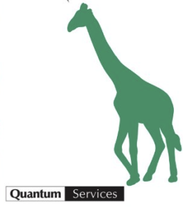 Quantum Services Logo